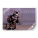 Tobby - Alvaro Martinz | Cuadro decorativo de Canvas Lab