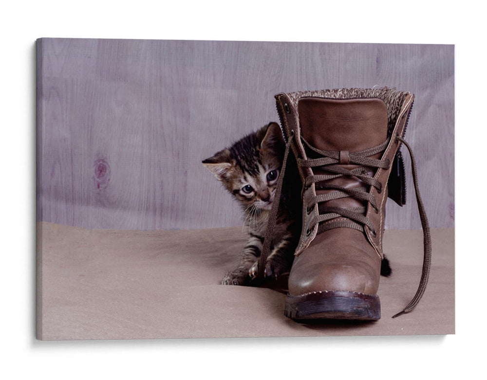 Tobby 2 - Alvaro Martinz | Cuadro decorativo de Canvas Lab