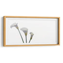 Alcatraces - Paulo Ávila | Cuadro decorativo de Canvas Lab