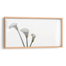 Alcatraces - Paulo Ávila | Cuadro decorativo de Canvas Lab