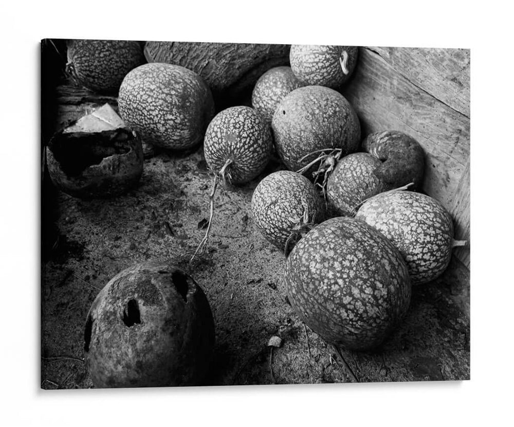 Chilacayotes - Paulo Ávila | Cuadro decorativo de Canvas Lab