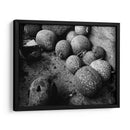 Chilacayotes - Paulo Ávila | Cuadro decorativo de Canvas Lab