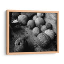 Chilacayotes - Paulo Ávila | Cuadro decorativo de Canvas Lab