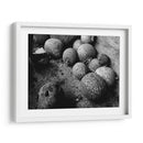 Chilacayotes - Paulo Ávila | Cuadro decorativo de Canvas Lab