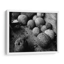 Chilacayotes - Paulo Ávila | Cuadro decorativo de Canvas Lab