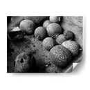 Chilacayotes - Paulo Ávila | Cuadro decorativo de Canvas Lab