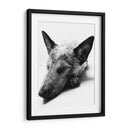 Indiana - Paulo Ávila | Cuadro decorativo de Canvas Lab