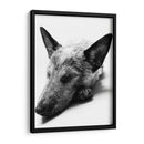 Indiana - Paulo Ávila | Cuadro decorativo de Canvas Lab