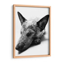 Indiana - Paulo Ávila | Cuadro decorativo de Canvas Lab