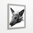 Indiana - Paulo Ávila | Cuadro decorativo de Canvas Lab