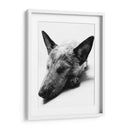 Indiana - Paulo Ávila | Cuadro decorativo de Canvas Lab