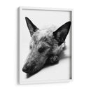 Indiana - Paulo Ávila | Cuadro decorativo de Canvas Lab