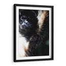 Mirada Animal - Paulo Ávila | Cuadro decorativo de Canvas Lab