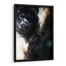 Mirada Animal - Paulo Ávila | Cuadro decorativo de Canvas Lab