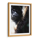 Mirada Animal - Paulo Ávila | Cuadro decorativo de Canvas Lab