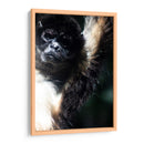 Mirada Animal - Paulo Ávila | Cuadro decorativo de Canvas Lab