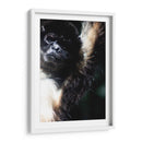 Mirada Animal - Paulo Ávila | Cuadro decorativo de Canvas Lab