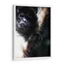 Mirada Animal - Paulo Ávila | Cuadro decorativo de Canvas Lab