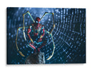 Iron Spider - Action Geek | Cuadro decorativo de Canvas Lab