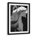 Caballo - Rodrigo Barrera | Cuadro decorativo de Canvas Lab