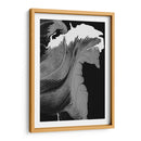 Caballo - Rodrigo Barrera | Cuadro decorativo de Canvas Lab