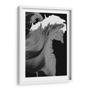 Caballo - Rodrigo Barrera | Cuadro decorativo de Canvas Lab