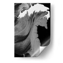 Caballo - Rodrigo Barrera | Cuadro decorativo de Canvas Lab