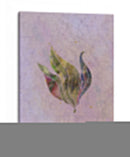 Soul Candy: Algae - YimoArca | Cuadro decorativo de Canvas Lab