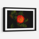 Sol floral - Alex Cerón | Cuadro decorativo de Canvas Lab