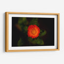 Sol floral - Alex Cerón | Cuadro decorativo de Canvas Lab