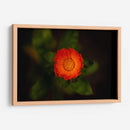 Sol floral - Alex Cerón | Cuadro decorativo de Canvas Lab