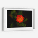 Sol floral - Alex Cerón | Cuadro decorativo de Canvas Lab