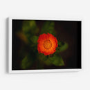 Sol floral - Alex Cerón | Cuadro decorativo de Canvas Lab