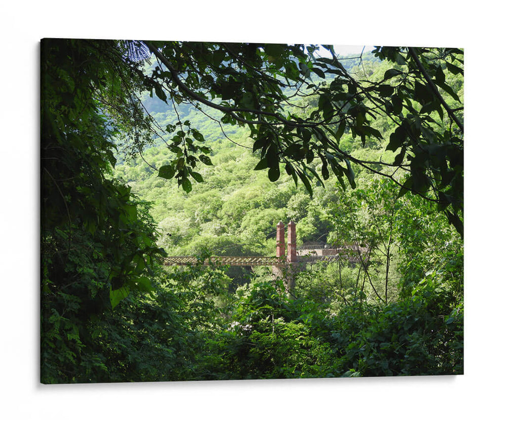 Vista lejana - Hugo Segura | Cuadro decorativo de Canvas Lab