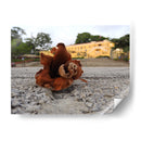 Vida y muerte - Hugo Segura | Cuadro decorativo de Canvas Lab