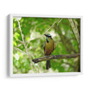 Verde - Hugo Segura | Cuadro decorativo de Canvas Lab