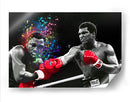 Ali Color Knock Out - David Aste | Cuadro decorativo de Canvas Lab