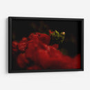 Nacimiento - Alex Cerón | Cuadro decorativo de Canvas Lab