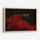 Nacimiento - Alex Cerón | Cuadro decorativo de Canvas Lab