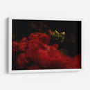 Nacimiento - Alex Cerón | Cuadro decorativo de Canvas Lab