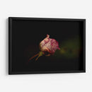 Rosalinda - Alex Cerón | Cuadro decorativo de Canvas Lab