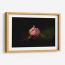 Rosalinda - Alex Cerón | Cuadro decorativo de Canvas Lab