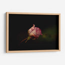 Rosalinda - Alex Cerón | Cuadro decorativo de Canvas Lab