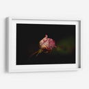 Rosalinda - Alex Cerón | Cuadro decorativo de Canvas Lab