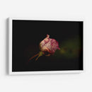 Rosalinda - Alex Cerón | Cuadro decorativo de Canvas Lab