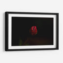 Lágrima - Alex Cerón | Cuadro decorativo de Canvas Lab