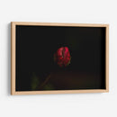 Lágrima - Alex Cerón | Cuadro decorativo de Canvas Lab