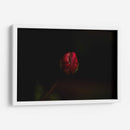 Lágrima - Alex Cerón | Cuadro decorativo de Canvas Lab