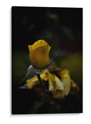 Juventud - Alex Cerón | Cuadro decorativo de Canvas Lab