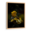 Juventud - Alex Cerón | Cuadro decorativo de Canvas Lab